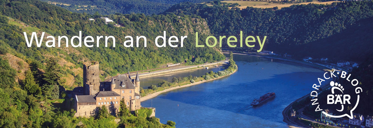 Andrack Hiking at the Loreley