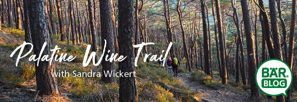 Winter hiking with BÄR: On the Palatinate Wine Trail with BERGKOMFORT