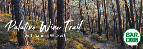 Winter hiking with BÄR: On the Palatinate Wine Trail with BERGKOMFORT