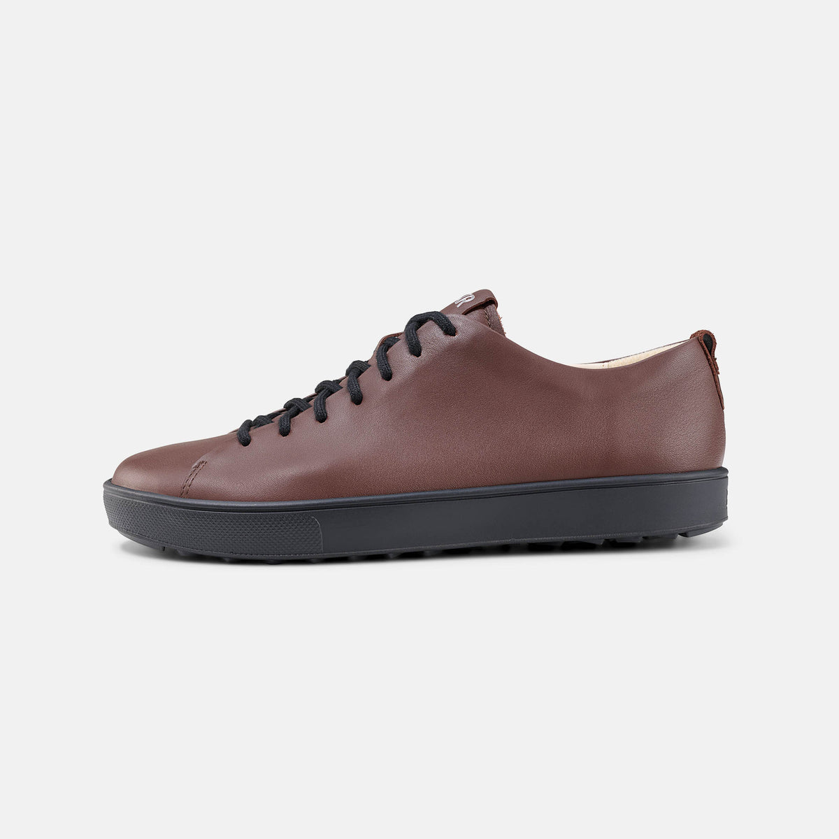 BAER OMN6 gallery 1244289_Dale-dark-brown_f.jpg