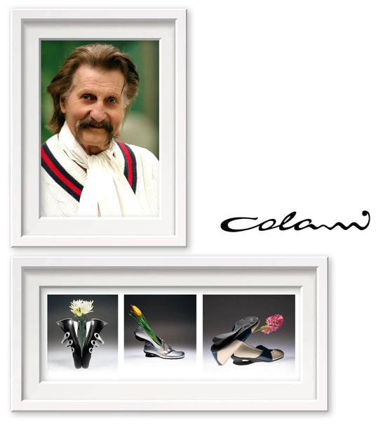 A portrait of a man in a white frame, with design objects in another frame below, and Colani logo on the right.