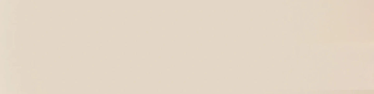 Ballerinas-Schuhe-banner_1