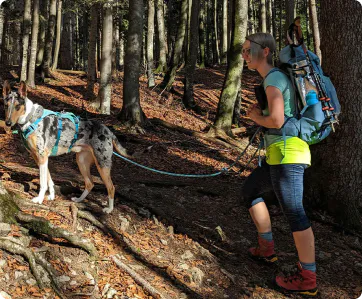 A woman with a backpack hikes with a dog on a leash through a light forest.