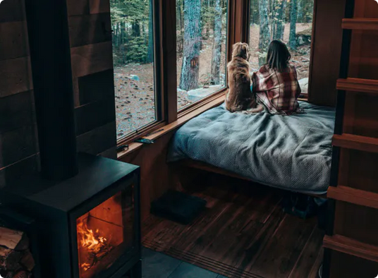 A person and a dog sit on a bed in a cabin, looking out a large window into a forest. A fireplace creates a warm atmosphere.