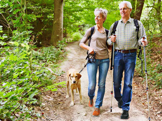 Elderly couple walking in the forest with a dog and hiking poles on a path