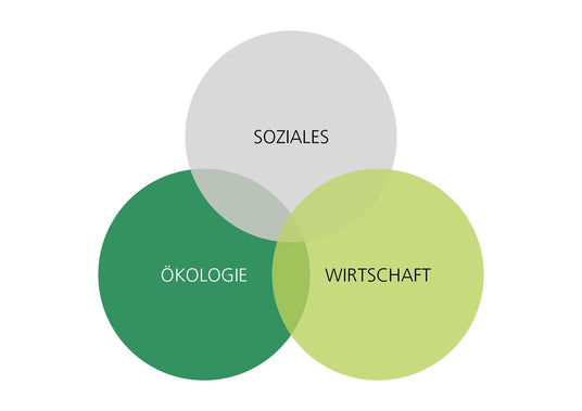 Diagramme de Venn de la durabilité avec les domaines écologie, économie et social