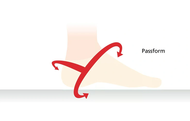 Illustration of a foot with arrows showing the fit and optimal comfort of shoes